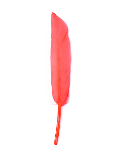 Hajékszer színes toll hajdísz Pink AFROline (1db)